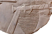 Nữ Pharaoh Hatshepsut xuất hiện trên phù điêu gây sốt giới khảo cổ
