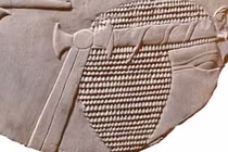 Nữ Pharaoh Hatshepsut xuất hiện trên phù điêu gây sốt giới khảo cổ