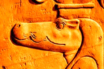 Rùng mình phát hiện 9 đầu cá sấu trong mộ cổ Ai Cập