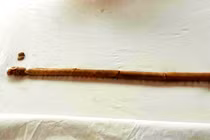 Quyền trượng chạm khắc từ xương động vật hé lộ tay nghề đỉnh cao 