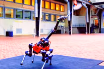 Robot bốn chân chơi cầu lông cùng con người 