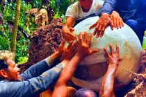 Bí ẩn bình tro cốt người – rùa giữa rừng Amazon cổ đại