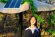 Nữ sinh sáng chế bẫy chạy bằng AI tiêu diệt côn trùng 