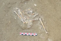 Ngôi đền chim ưng cổ đại hé lộ nghi lễ tôn giáo độc đáo của Ai Cập