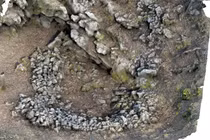 Bí ẩn đằng sau mạng lưới săn bắt thời tiền sử 