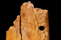 Mặt dây chuyền ngà voi siêu cổ đại, hé lộ bí mật tổ tiên