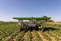 Robot năng lượng mặt trời thay nông dân nhổ cỏ 