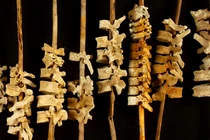 Bí ẩn hàng trăm đốt sống người xâu chuỗi trên cọc sậy