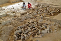 Khám phá địa điểm 25.000 năm tuổi chứa đầy xương voi ma mút 