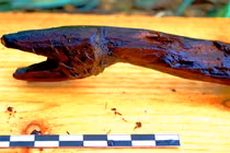 “Cây gậy rắn” 4.400 năm tiết lộ nghi lễ pháp sư tiền sử 