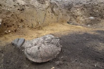 Đào đất xây sân vận động, chuyên gia kinh ngạc phát hiện di tích cổ