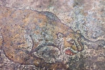 Tranh khảm La Mã cổ ẩn dưới bê tông hàng thế kỷ