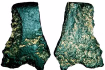 Mảnh rìu 49.000 năm tại Úc làm thay đổi lịch sử nhân loại