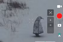 Binh sĩ Nga sử dụng đồ ngụy trang "chim cánh cụt" ở tiền tuyến