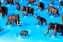 Có nên hồi sinh các loài động vật đã tuyệt chủng?