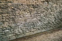 Bức tranh tường đá nghìn năm tuổi lộ diện bất ngờ, chuyên gia bối rối