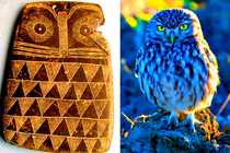 Sự thật bảng đá hình cú 5.000 năm gây sửng sốt giới khảo cổ