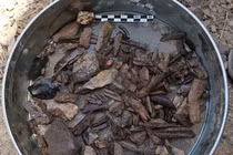 Hang đá cổ 150.000 tuổi tiết lộ hành trình của loài người cổ đại