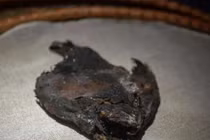 Bí ẩn 13 con cá muối trong lăng mộ cổ 