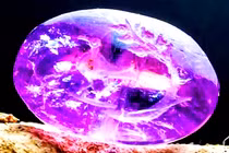 Viên thạch anh tím 2.000 năm tuổi hé lộ bí ẩn Kinh Thánh