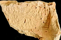 Tìm thấy phiến đá nguyền rủa 3.500 năm làm rung chuyển giới khảo cổ