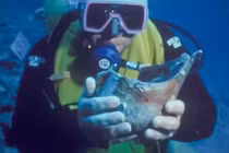 Tàu cổ 4 thiên niên kỷ hé lộ hoạt động giao thương thời Hy Lạp