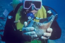 Tàu cổ 4 thiên niên kỷ hé lộ hoạt động giao thương thời Hy Lạp