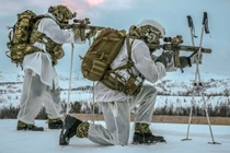 Lính Thủy quân Lục chiến Hoàng gia Anh tại Bắc Cực