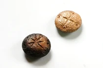 Bí ẩn hai cổ vật bằng xương 1.500 năm của binh lính La Mã