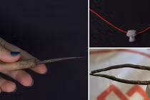 Soi nhiều cổ vật lạ 3.200 năm tuổi trong gò chôn cất cổ xưa