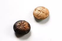 Bí ẩn hai cổ vật bằng xương 1.500 năm của binh lính La Mã