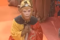 Sau khi Tôn Ngộ Không thành Phật, ai đã gỡ vòng kim cô?