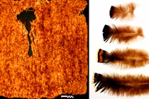 Chấn động chiếc chăn 800 năm làm từ 11.500 lông gà tây 