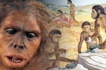 Khám phá xương Homo habilis cổ đại giúp hiểu rõ nguồn gốc loài người