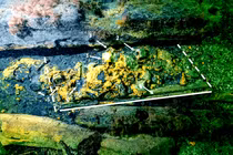 Giải mã rương vũ khí kỳ lạ dưới biển, vén màn bí ẩn Trung cổ