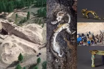 Rồng bạc kỳ dị trong lăng mộ người Hung Nô