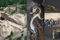 Rồng bạc kỳ dị trong lăng mộ người Hung Nô