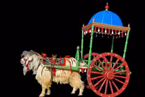 Tàn tích cỗ xe 6 con cừu cổ đại phát lộ tại Trung Quốc 