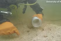 Phát lộ khu định cư 10.000 năm chìm dưới hồ nước cổ