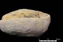 Cối xay cổ nhất châu Âu thay đổi cách nhìn về xã hội thời kỳ đá cũ