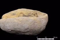 Cối xay cổ nhất châu Âu thay đổi cách nhìn về xã hội thời kỳ đá cũ