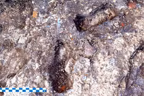 Dấu chân trẻ em trong hố vữa Ai Cập cổ đại gây chấn động