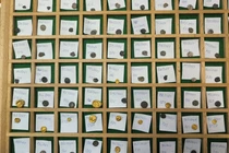 Kho báu 500 đồng tiền vàng bạc người Celt hé lộ bí ẩn lịch sử