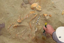 32 hài cốt khỉ trong nghĩa địa cổ, hé lộ bí mật khó tin