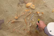 32 hài cốt khỉ trong nghĩa địa cổ, hé lộ bí mật khó tin