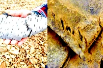 Băng tan bất ngờ lộ hiện vật 7.000 năm tuổi bí ẩn