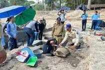 Tượng rùa cổ nghìn năm ở Campuchia hé lộ bí mật động trời