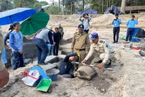 Tượng rùa cổ nghìn năm ở Campuchia hé lộ bí mật động trời