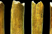 Mảnh sừng hươu trang trí từ Thời kỳ Đồ Đá Giữa hé lộ bí ẩn cổ đại