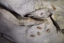 Đếm được 137 dấu tay của người Maya cổ trong hang động